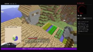 PS4[マインクラフト]まったり雑談ラジオ※画面固定多いです