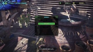 [PS4Pro] [MHW]モンスターハンターワールド