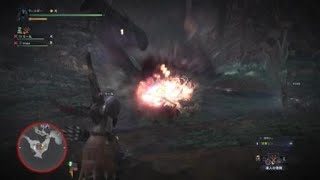 モンスターハンター：ワールド_20180323224507