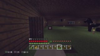 マインクラフト　フロスール