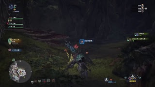 帰ってきたモンスターハンターワールド録画_30