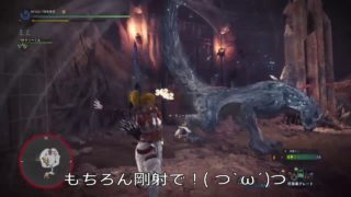 ひよっこ隊長 いまだに一年生［モンスターハンターワールド］オドガロンとトビカガチを狩る！