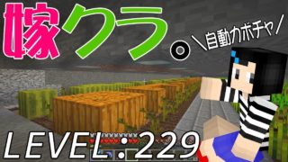 【マインクラフト】嫁がマイクラ始めました。229「更なる自動化、カボチャ収穫機」