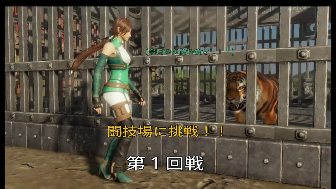 #5【真·三國無双8】闘技場に挑戦してみる【解説？】