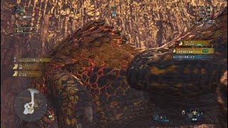 モンスターハンター：ワールドまむ