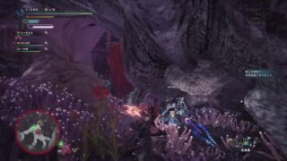 ☆モンスターハンターワールド 春のアステラ祭☆