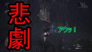 [モンスターハンター：ワールド]Uruの実況プレイpart05
