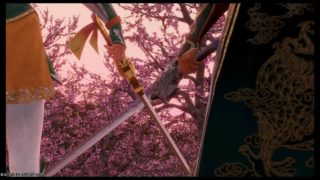 真・三國無双8 双剣コンボ Dynasty Warriors 9 Twin Swords combo