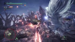 okacl_がPS4からブロードキャスト (モンスターハンター：ワールド) 39