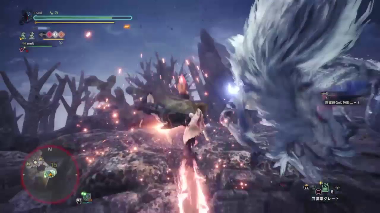 okacl_がPS4からブロードキャスト (モンスターハンター：ワールド) 39