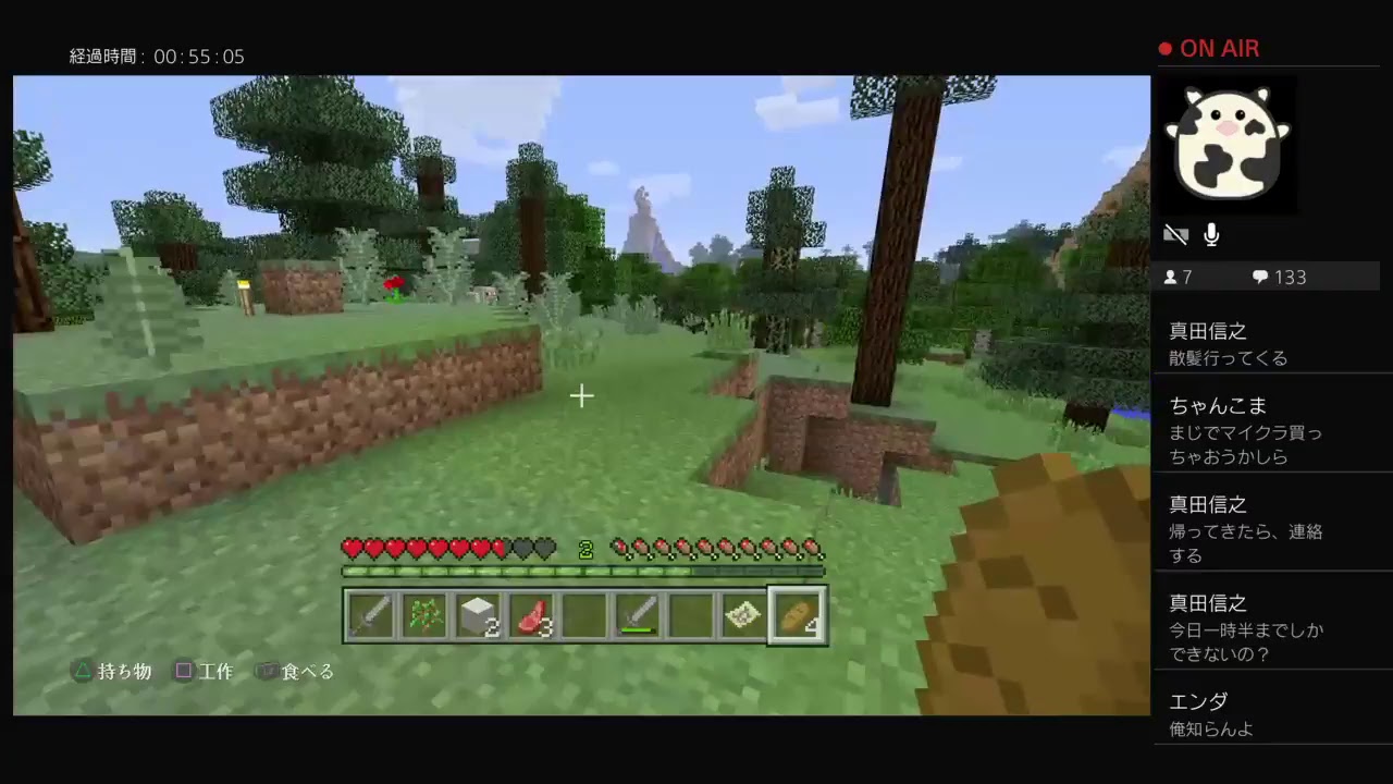 【マインクラフト】人生山あり谷あり？