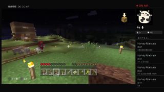 【マインクラフト】人生山あり谷あり？