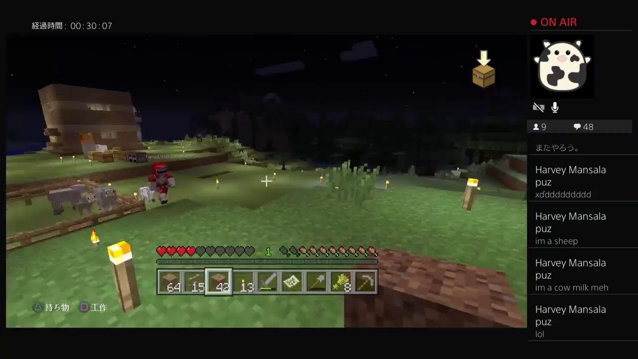 【マインクラフト】人生山あり谷あり？