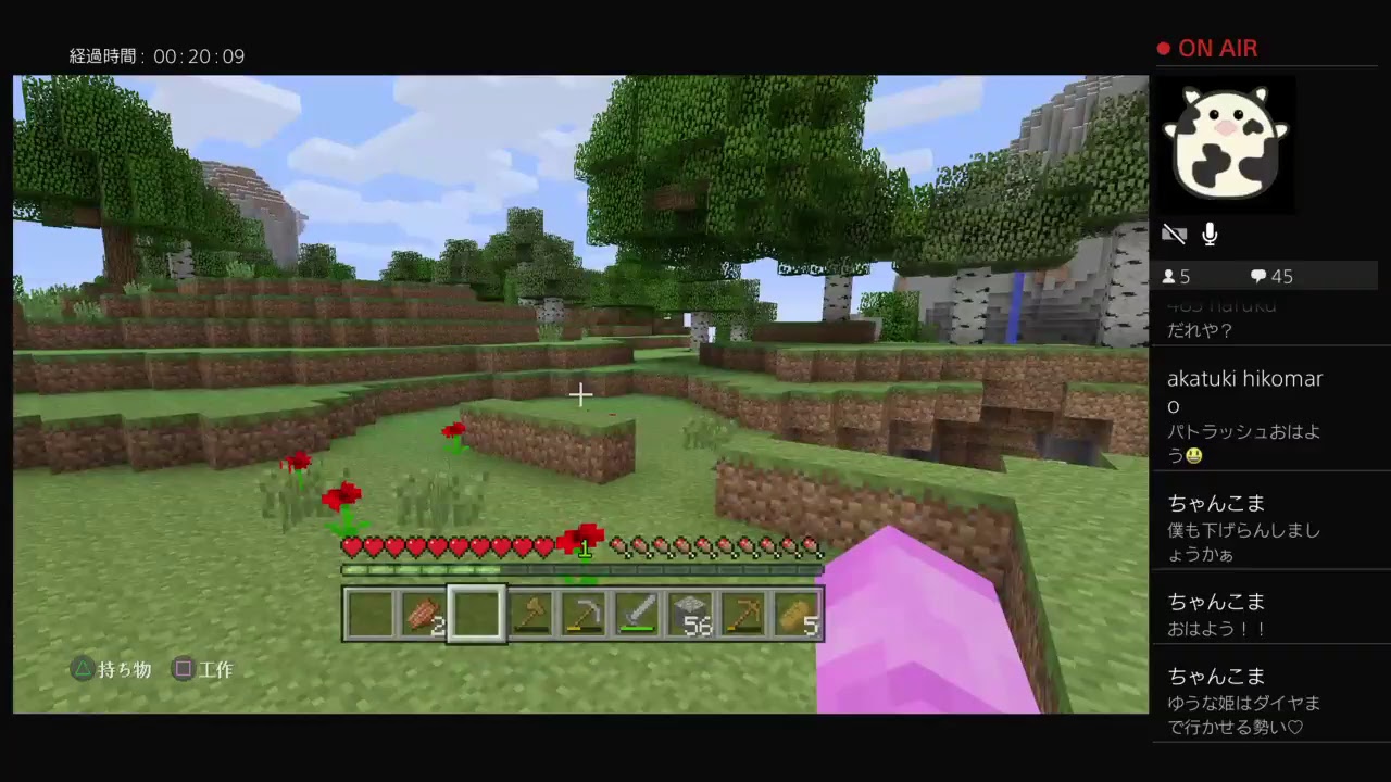 【マインクラフト】人生山あり谷あり？