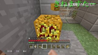 【マインクラフト】マイクラ不定期配信始めました#7