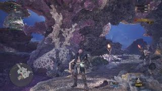 モンスターハンター：ワールド_20180306174132