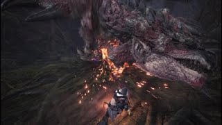 モンスターハンター：ワールド_20180313　レウス戦