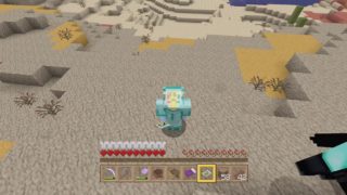 【マインクラフト】ちゅなかんの生放送【＃15】【初見さん歓迎】