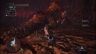 黄金卿に潜む閃光　激闘編　「モンスターハンターワールド」