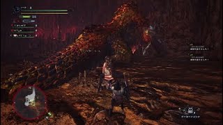 黄金卿に潜む閃光　激闘編　「モンスターハンターワールド」