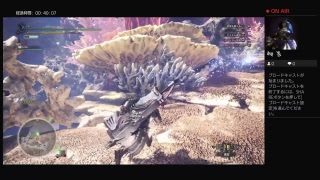 モンスターハンターワールド(MHW)生放送（HR上げ）目指せHR100！