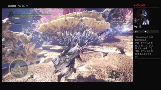 モンスターハンターワールド(MHW)生放送（HR上げ）目指せHR100！