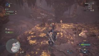 [ハンティング]超猫派が逝く「モンスターハンター　ワールド」二度目のマム