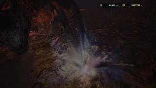 モンスターハンター：ワールド　昨日の狩り　マルチ　マム・タロト戦　デルピ視点