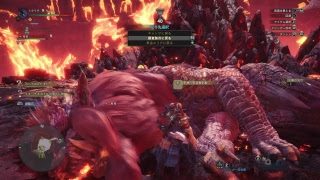 モンスターハンターワールド＃41双剣やる