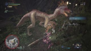 【MHW】初大剣！双剣から大剣へ♪モンスターハンター：ワールド