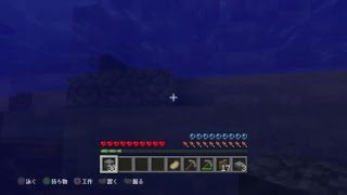 マインクラフト　初見さん大歓迎！コメント待ってます！