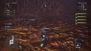 okacl_がPS4からブロードキャスト (モンスターハンター：ワールド) 40