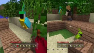 【マインクラフト】ほのぼのマイクラ実況part 9【2人で】