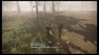 真・三國無双8 part 73 蜀ｽﾄｰﾘｰ　ホウ統