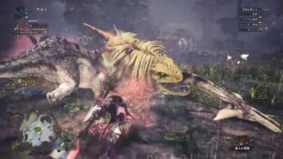 モンスターハンター：ワールド_20180418172002