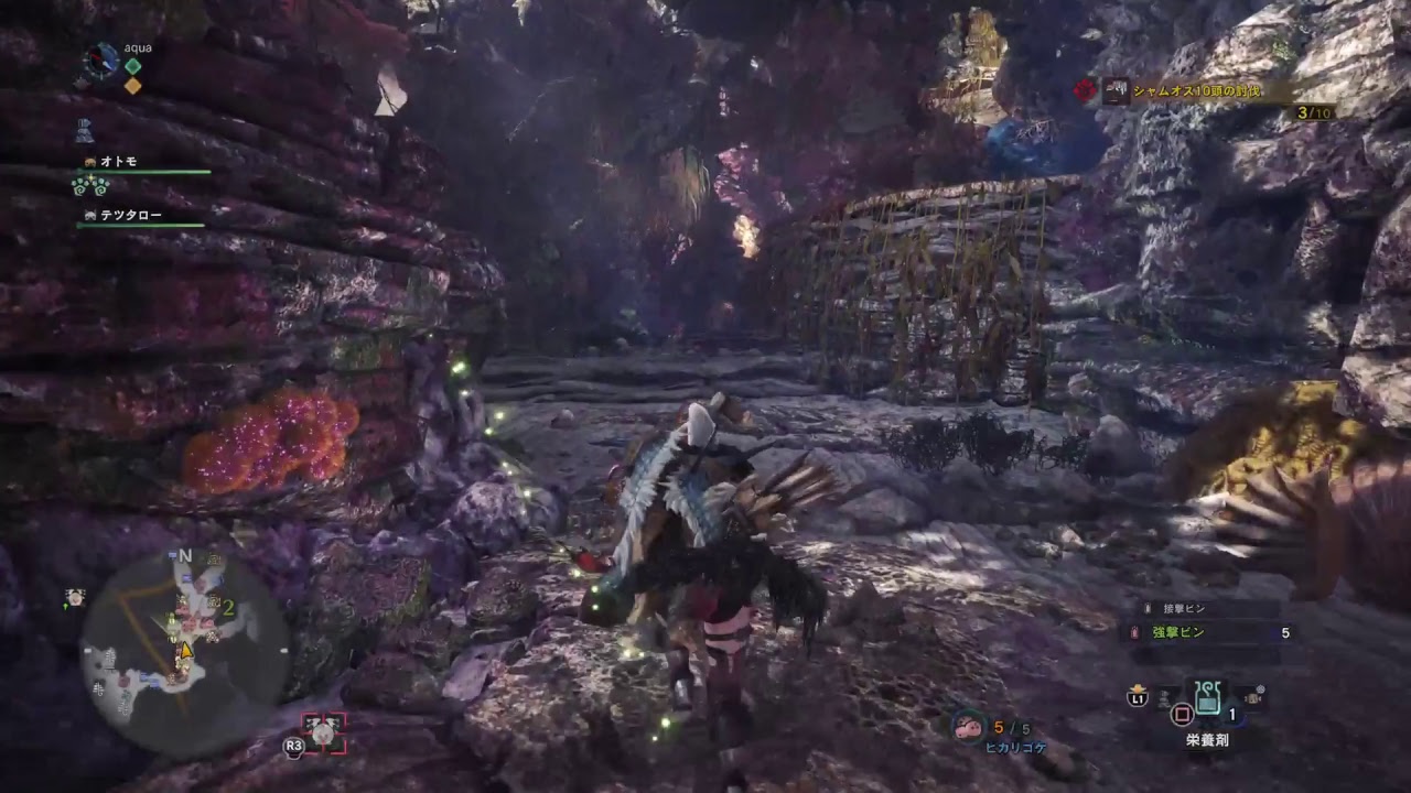 ［モンスターハンターワールド］もののけモンスター狩り　初心者行く　＃12