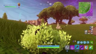 くりぼうのきまぐれ生放送！狩人になりました。［モンスターハンターワールド］ゼノシーヴァ戦