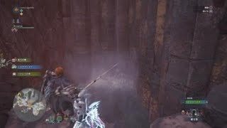 ［MHW］モンスターハンター：ワールド        白金魚？いやドス白金魚！！