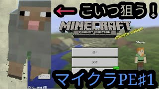 マインクラフトPE♯1遂にマイクラをプレー！！