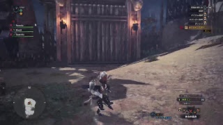 趣味はゲーム、PS4 Pro モンスターハンター：ワールド 49日目