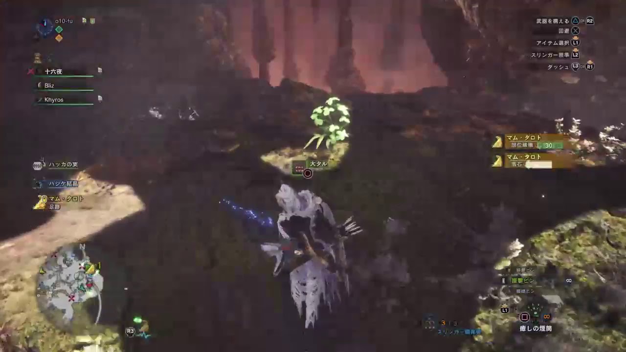 #14【ねーちゃんの今日の配信】モンスターハンターワールド