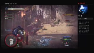 モンスターハンターワールド！　22日目　相棒と狩りに