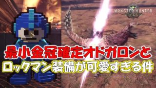 オトモ装備「ロックマン」と最小オドガロンが可愛すぎる件【モンスターハンターワールド(MHW)】