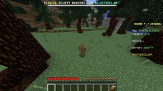 マインクラフトPCハイピクセルサーバーで遊ぶぜ