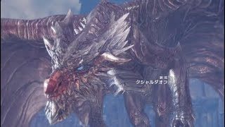 [MHW]ぼっちんハンター生活モンスターハンターワールド：21