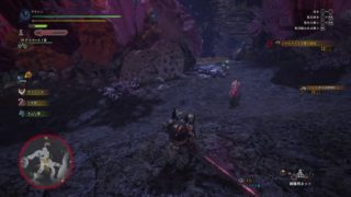 モンスターハンター：ワールド～シャムオスのスタイリッシュな切り方～