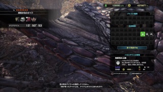 趣味はゲーム、PS4 Pro モンスターハンター：ワールド 48日目