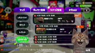 スプラトゥーン２　3時までサーモンラン