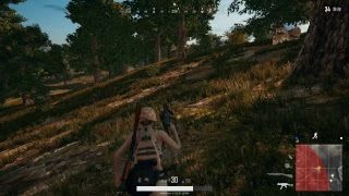 スプラトゥーン2配信