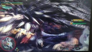 モンスターハンターワールド ネルギガンテ上位